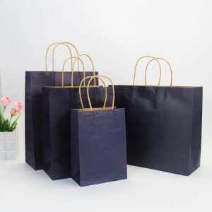 Custom Logo Printed Kraft Paper Bag